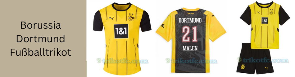 Premier Paint Protection, Coatings & Window Tint Shop in Roanoke, TX
                